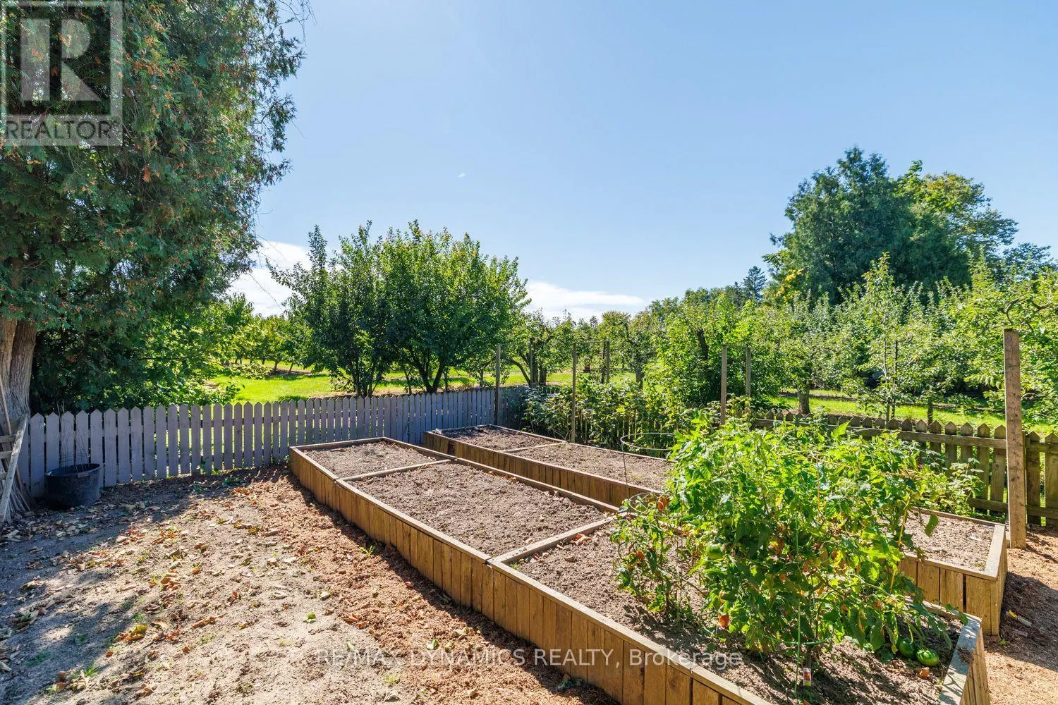 2728 RED MAPLE AVENUE