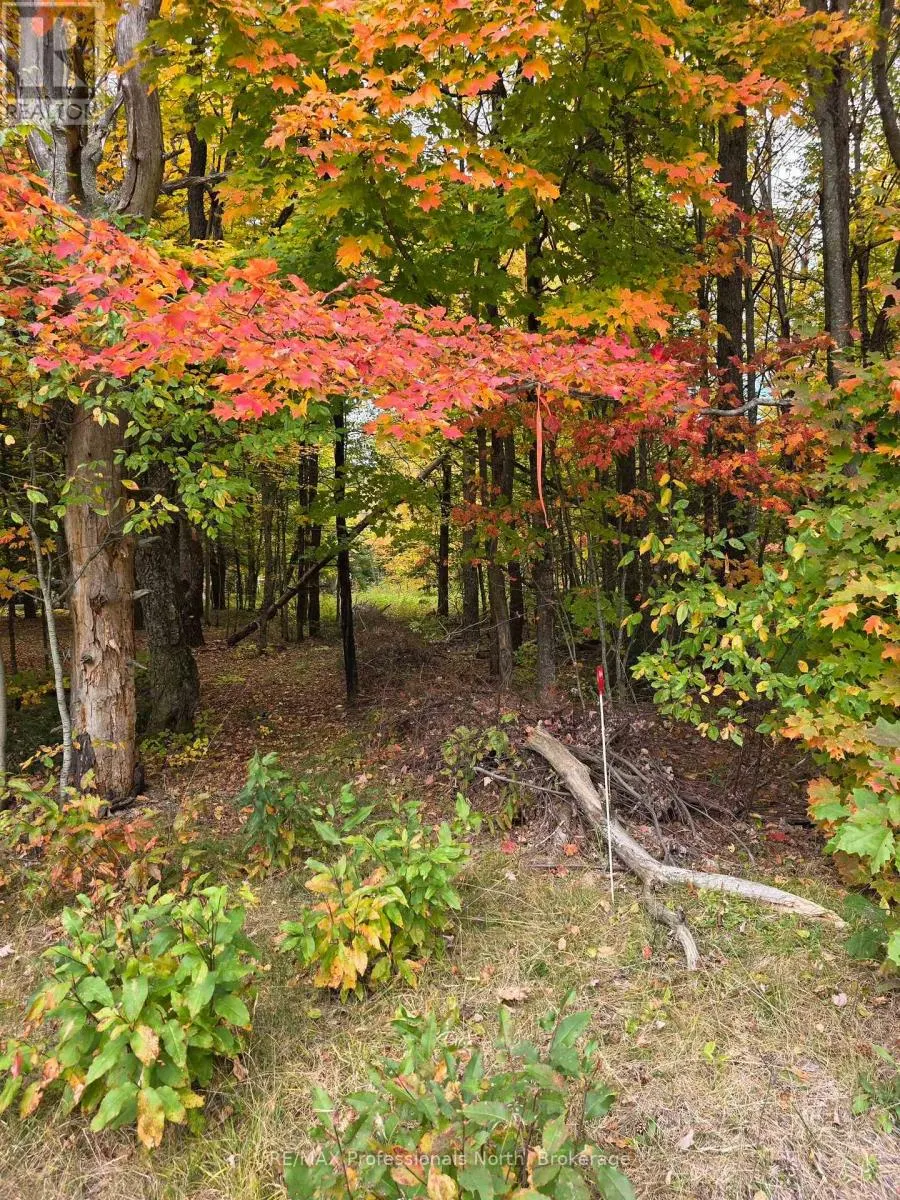 124 CARDWELL LAKE ROAD