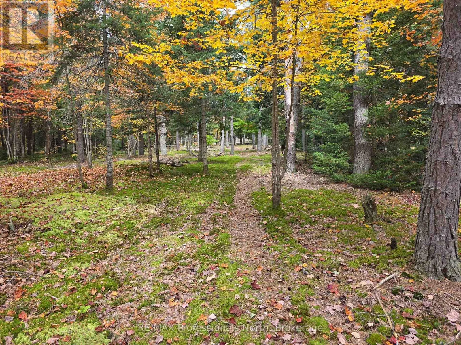 124 CARDWELL LAKE ROAD