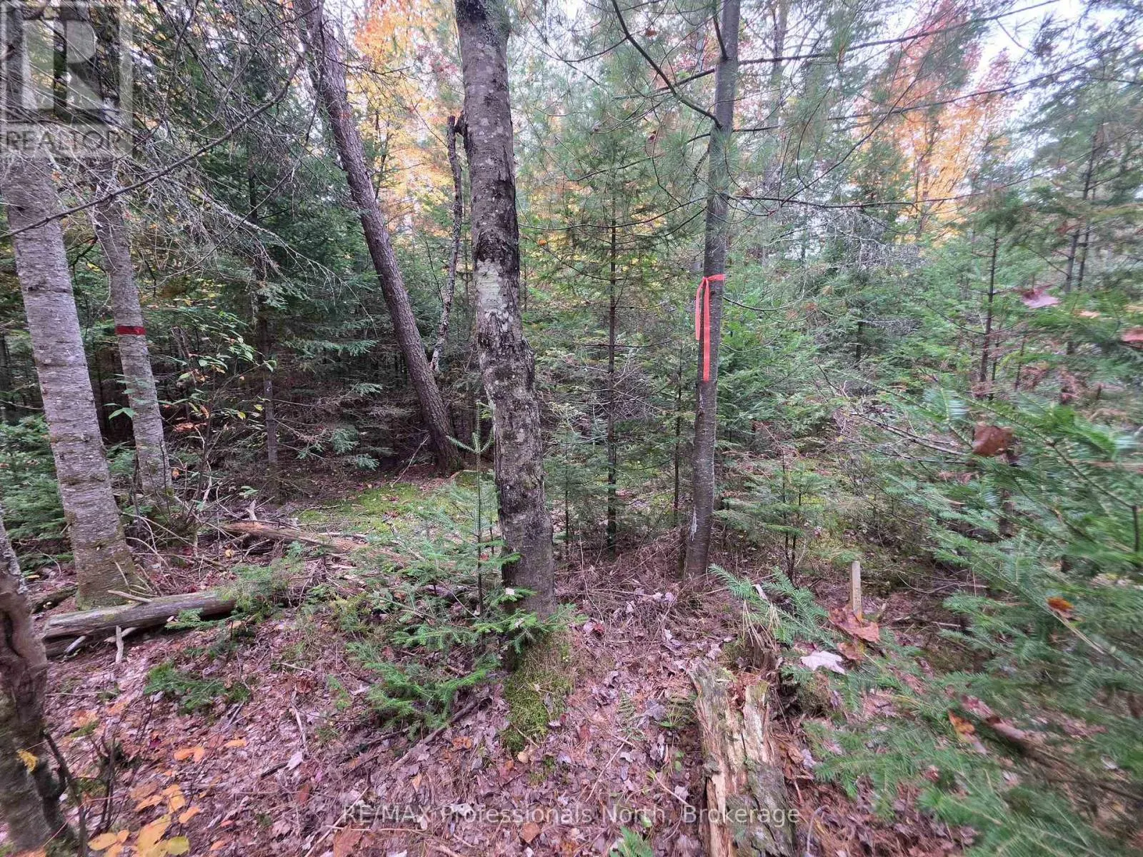 124 CARDWELL LAKE ROAD