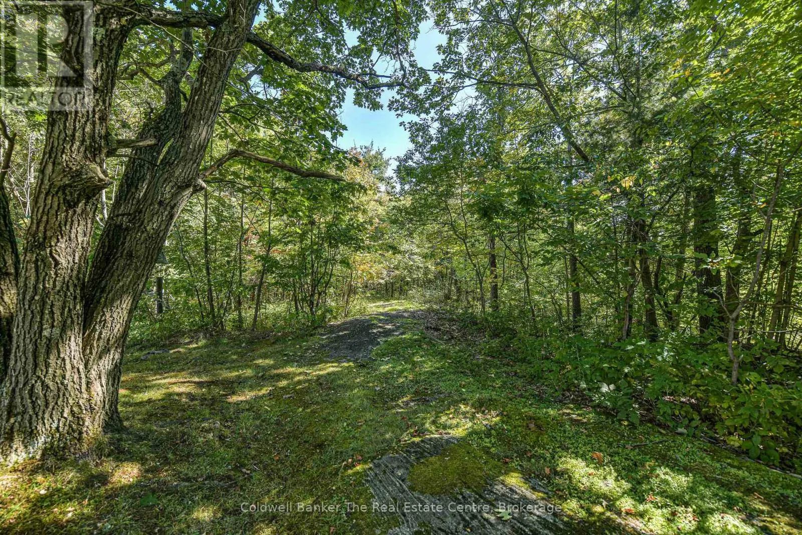 115 JONES ROAD