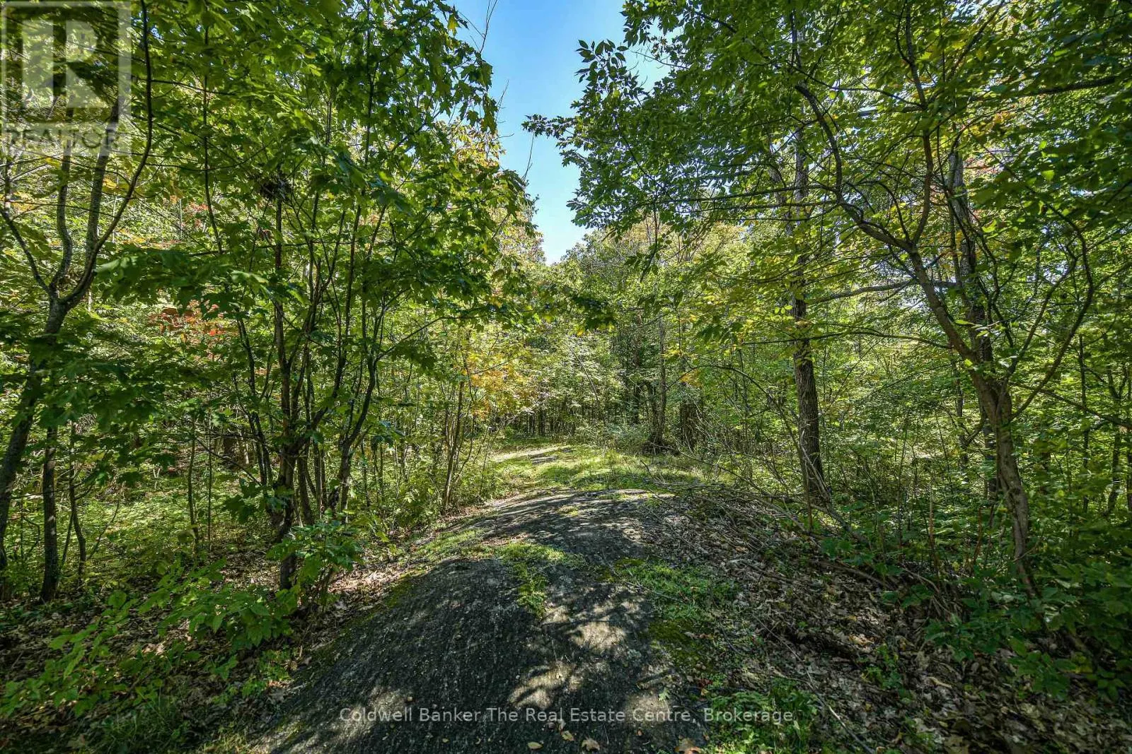 115 JONES ROAD