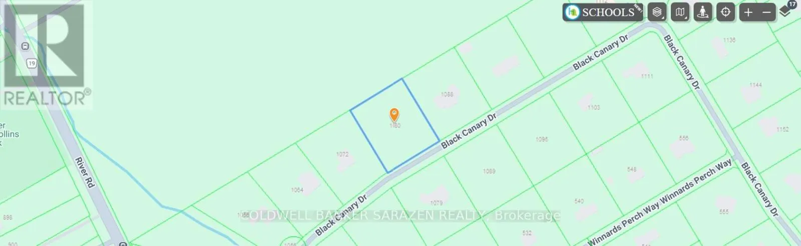 1080 BLACK CANARY DRIVE