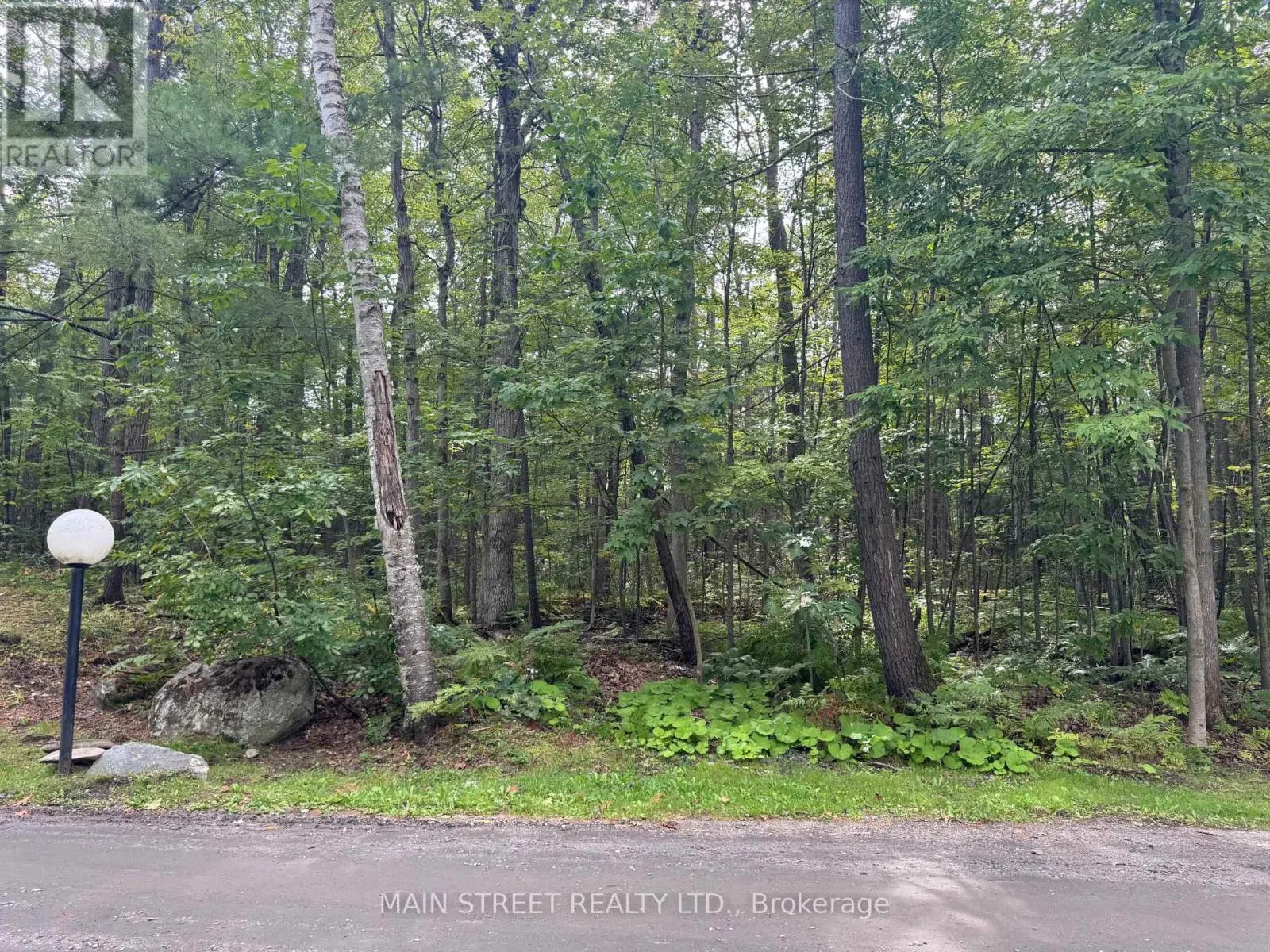 21 - 1007 RACOON ROAD