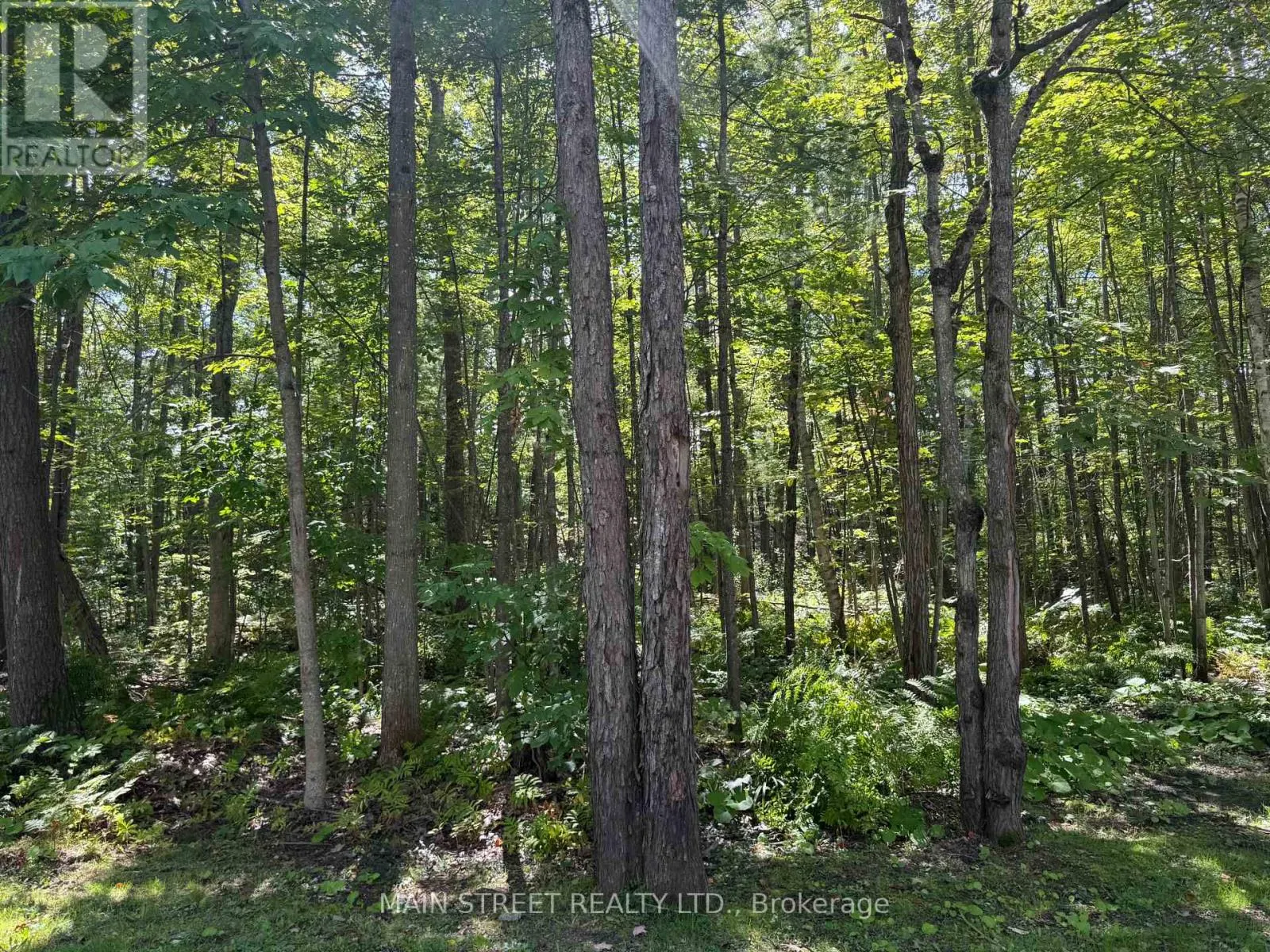 21 - 1007 RACOON ROAD