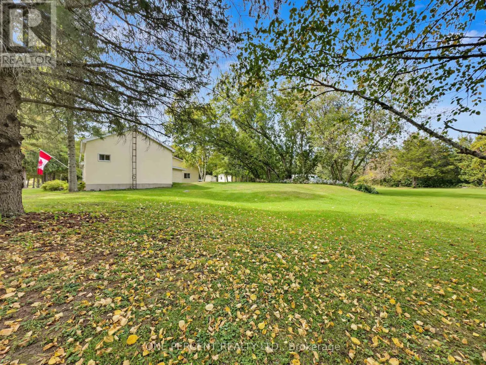 1619 CENTREVILLE ROAD