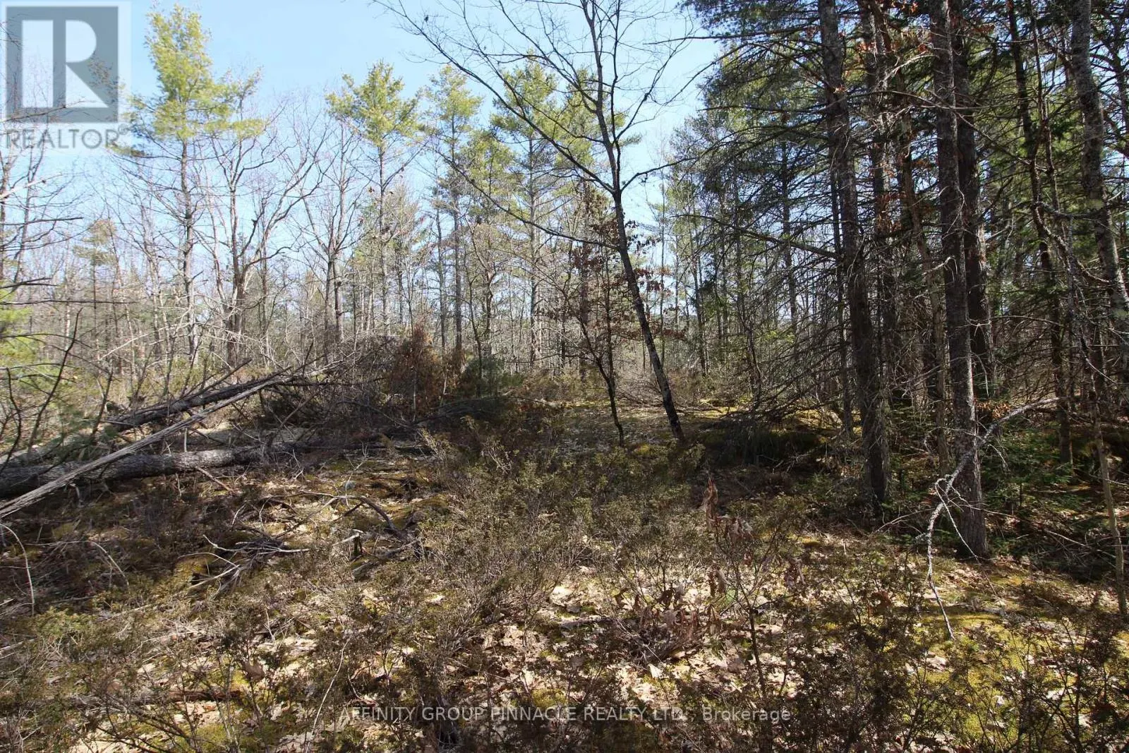 LOT 15 CONCESSION 9