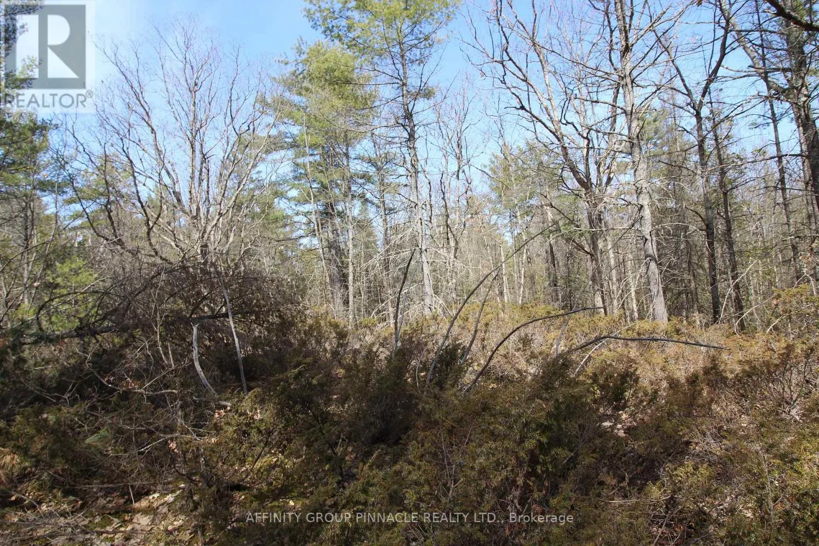LOT 15 CONCESSION 9