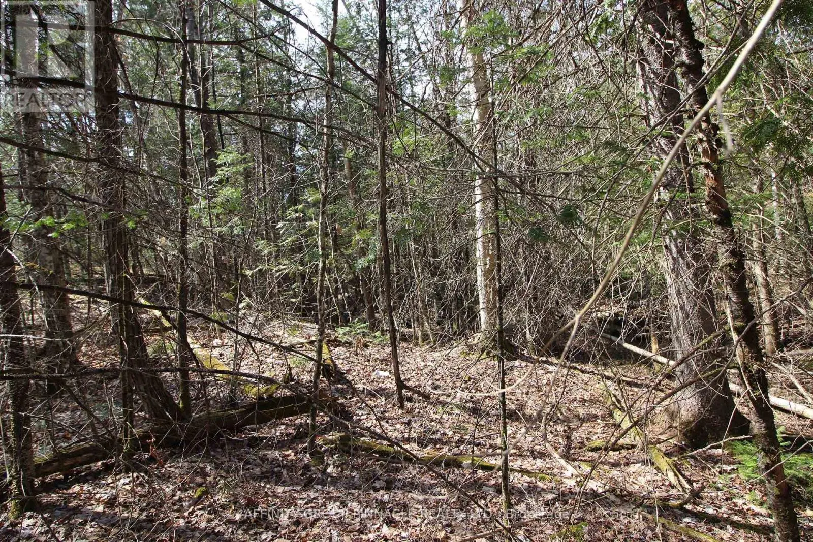 LOT 15 CONCESSION 9