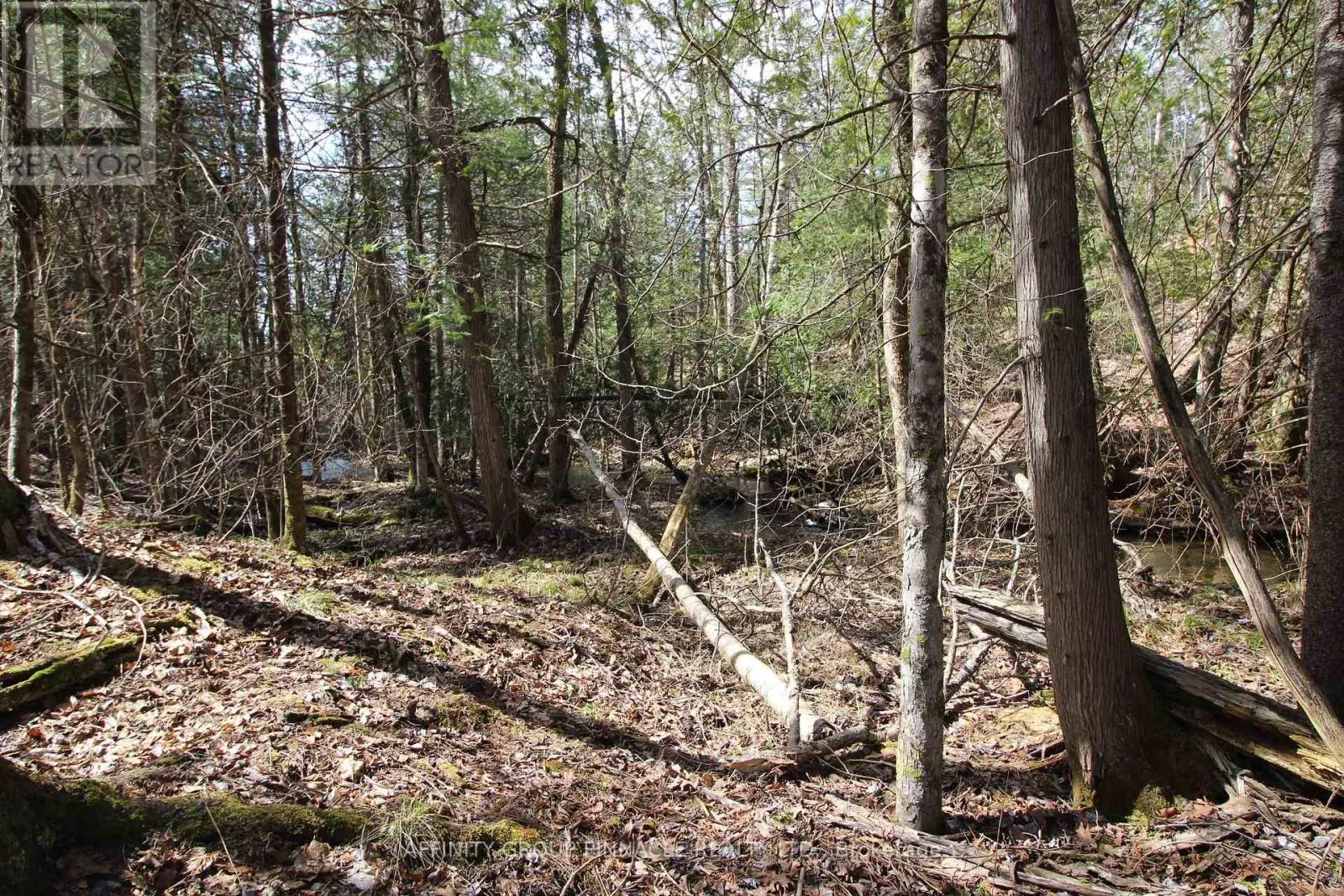 LOT 15 CONCESSION 9