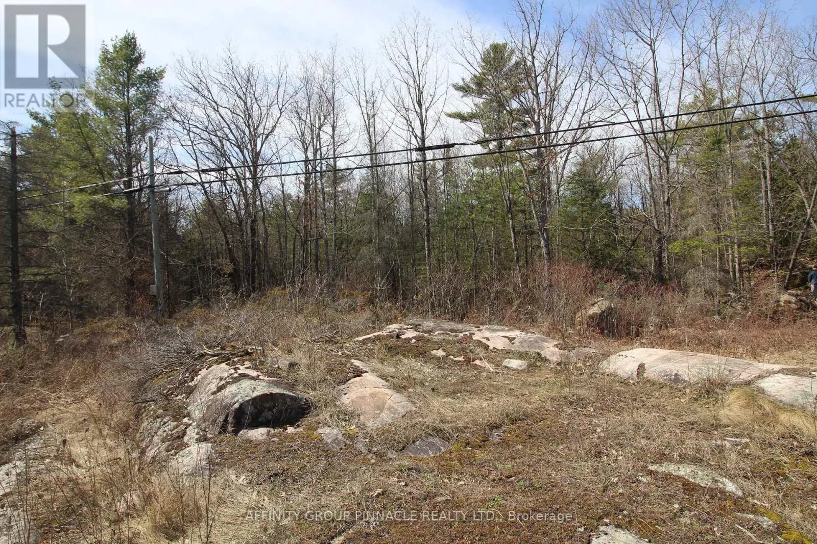 LOT 15 CONCESSION 9