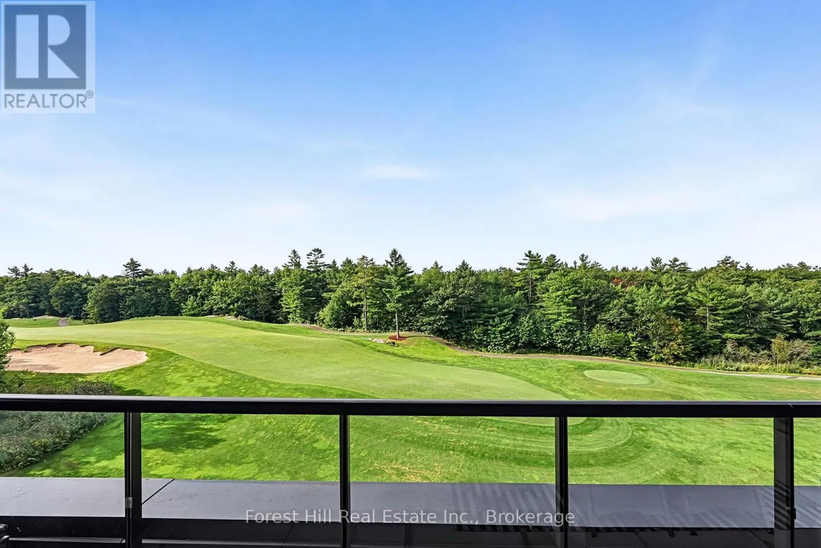 502 - 120 CARRICK TRAIL #502