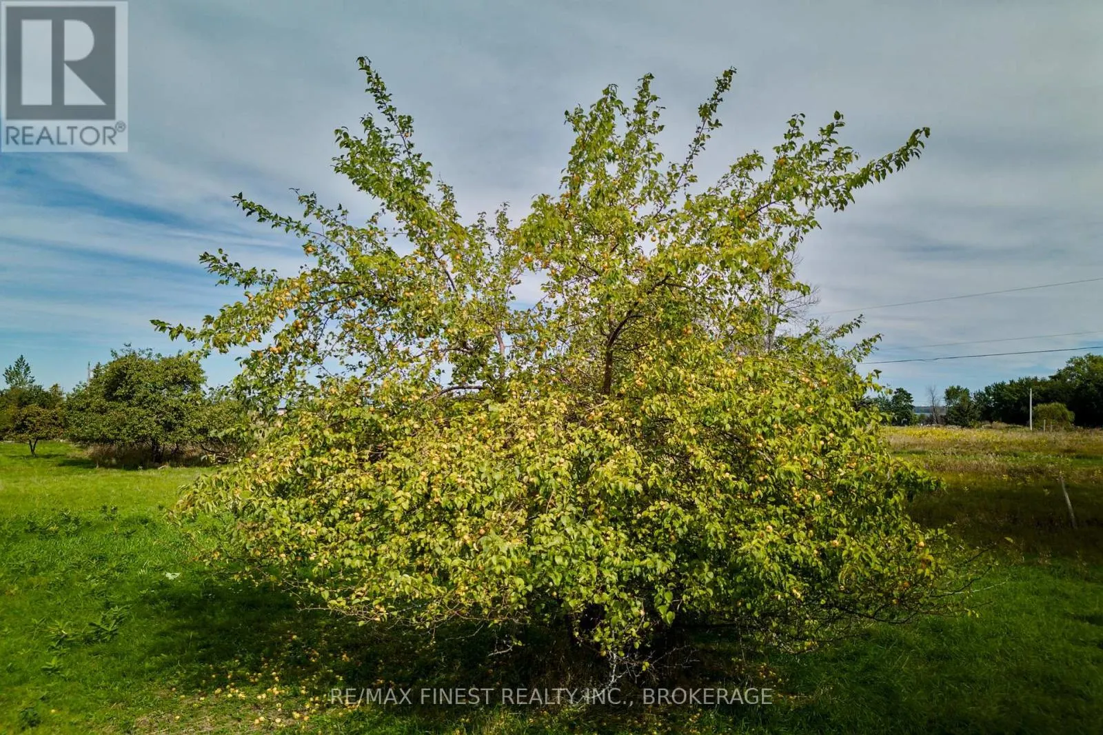 1600 FRONT ROAD