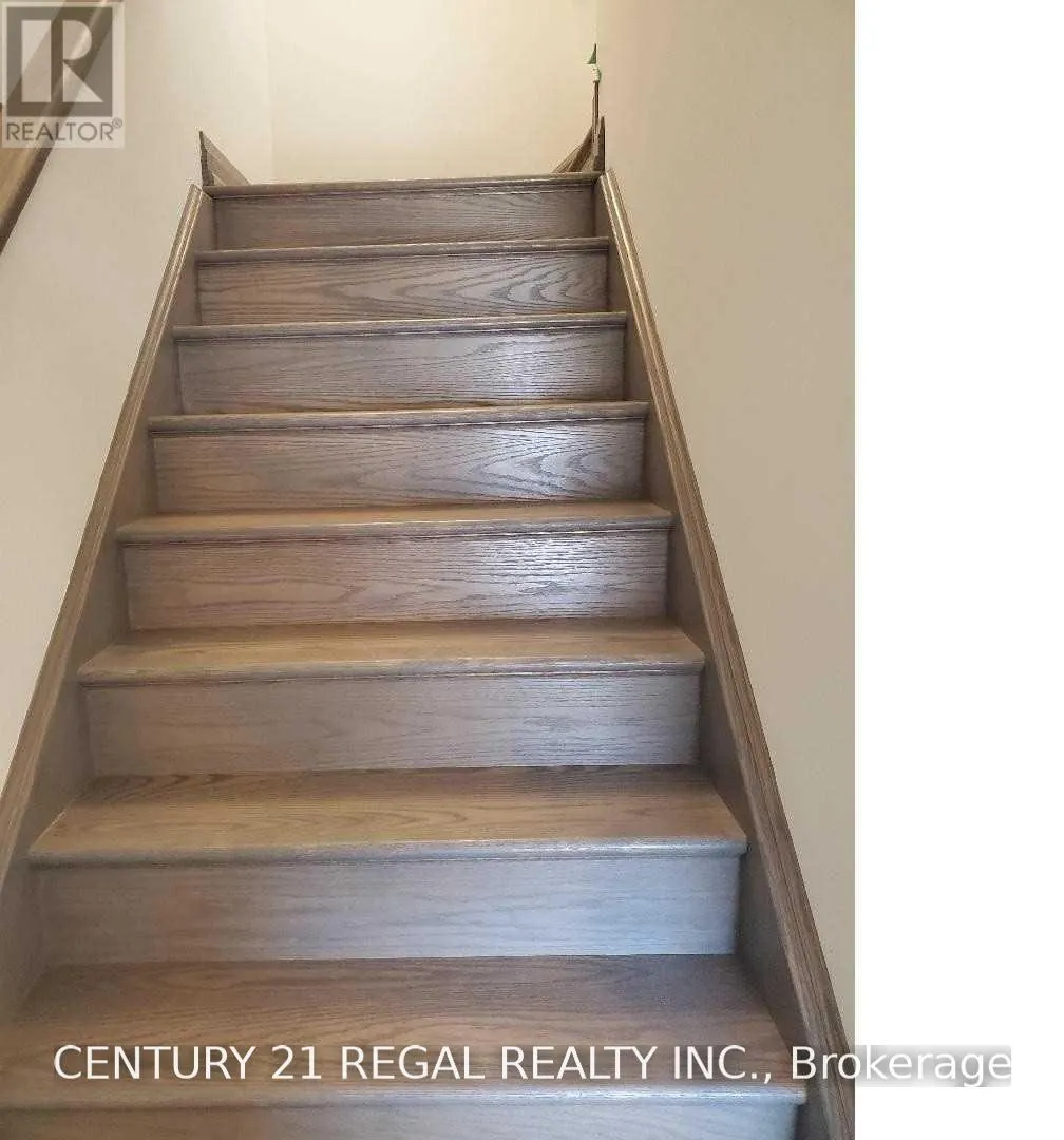 10 SYCAMORE STREET