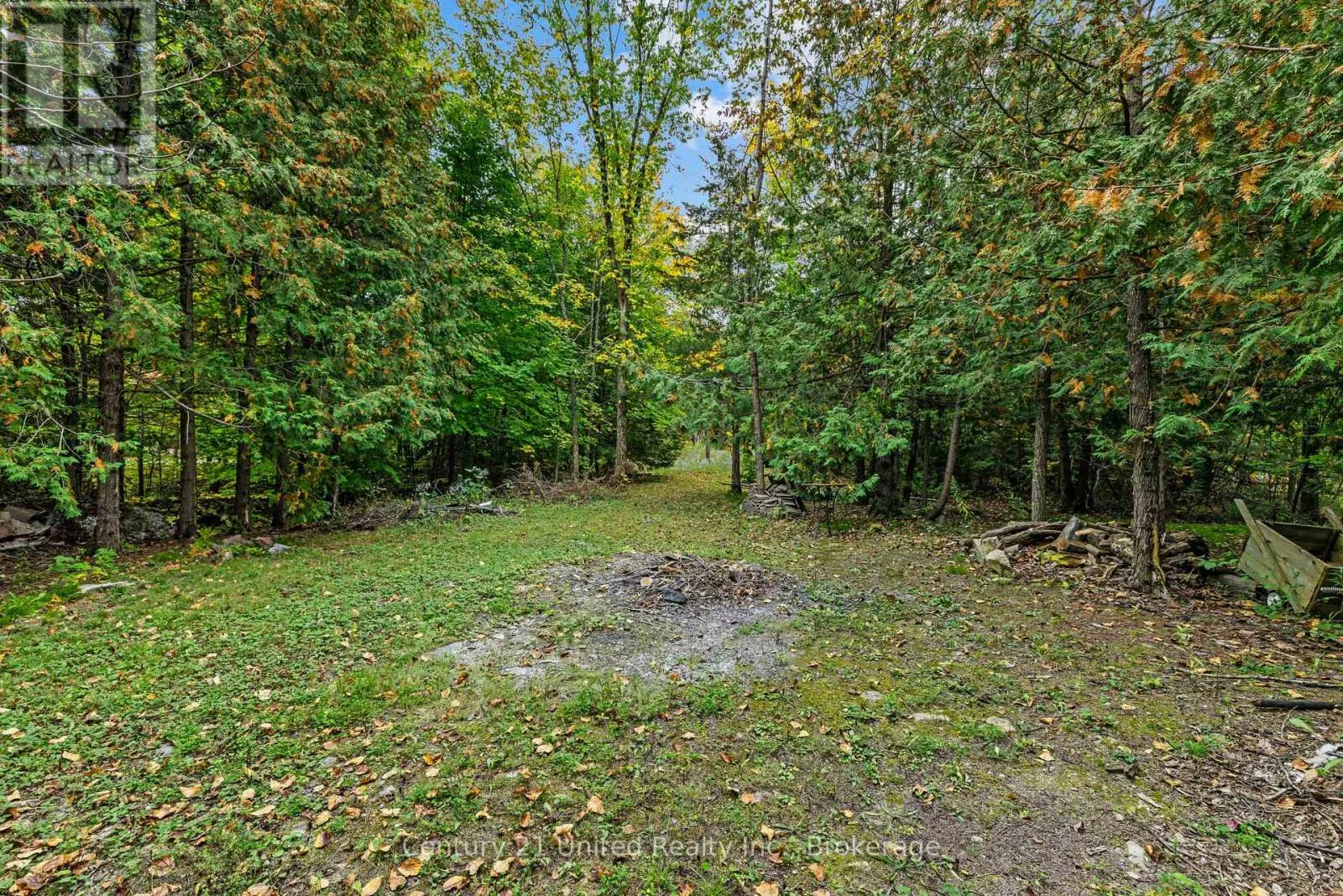 1249 BIRCHVIEW ROAD