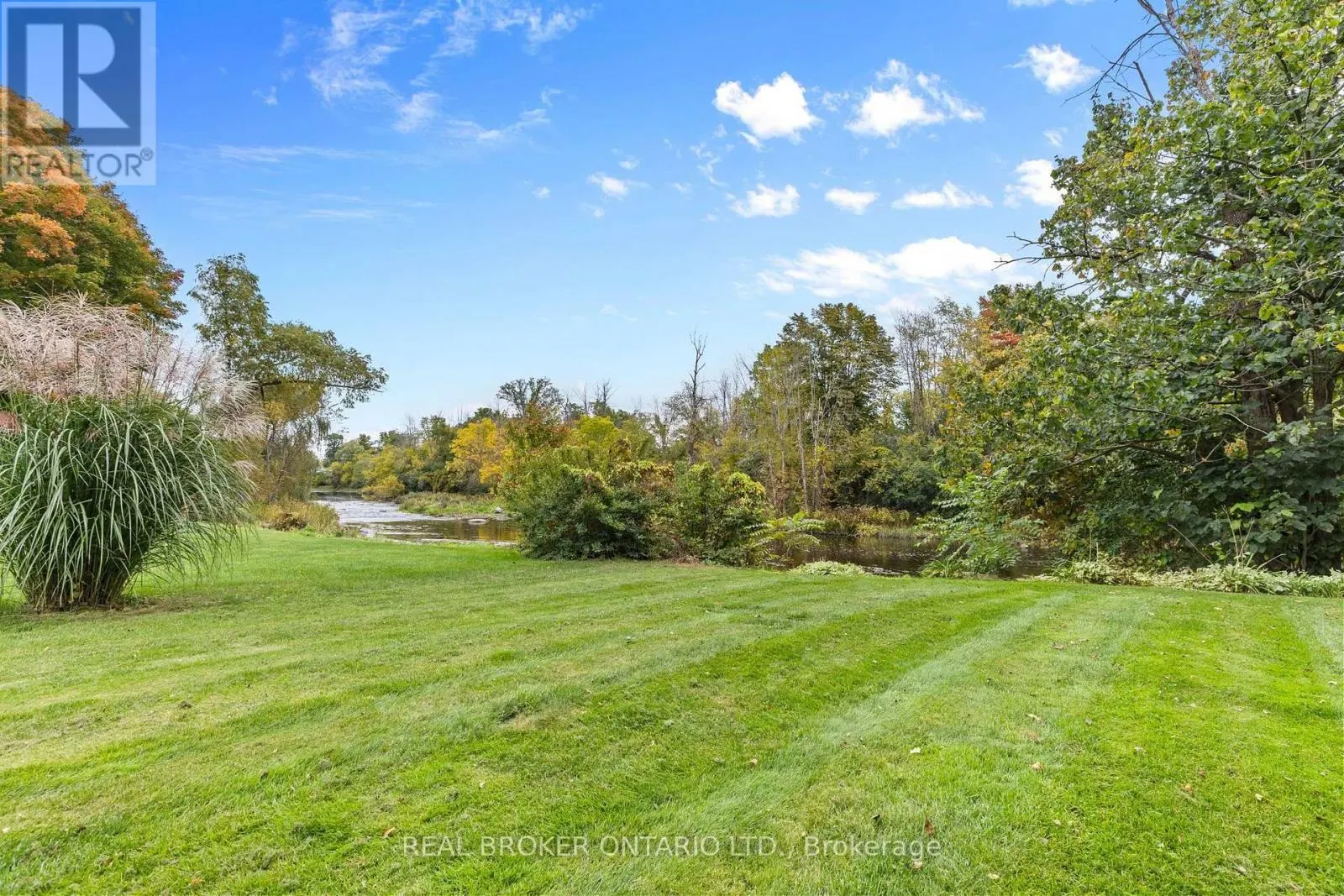316 CLOTHIER STREET W
