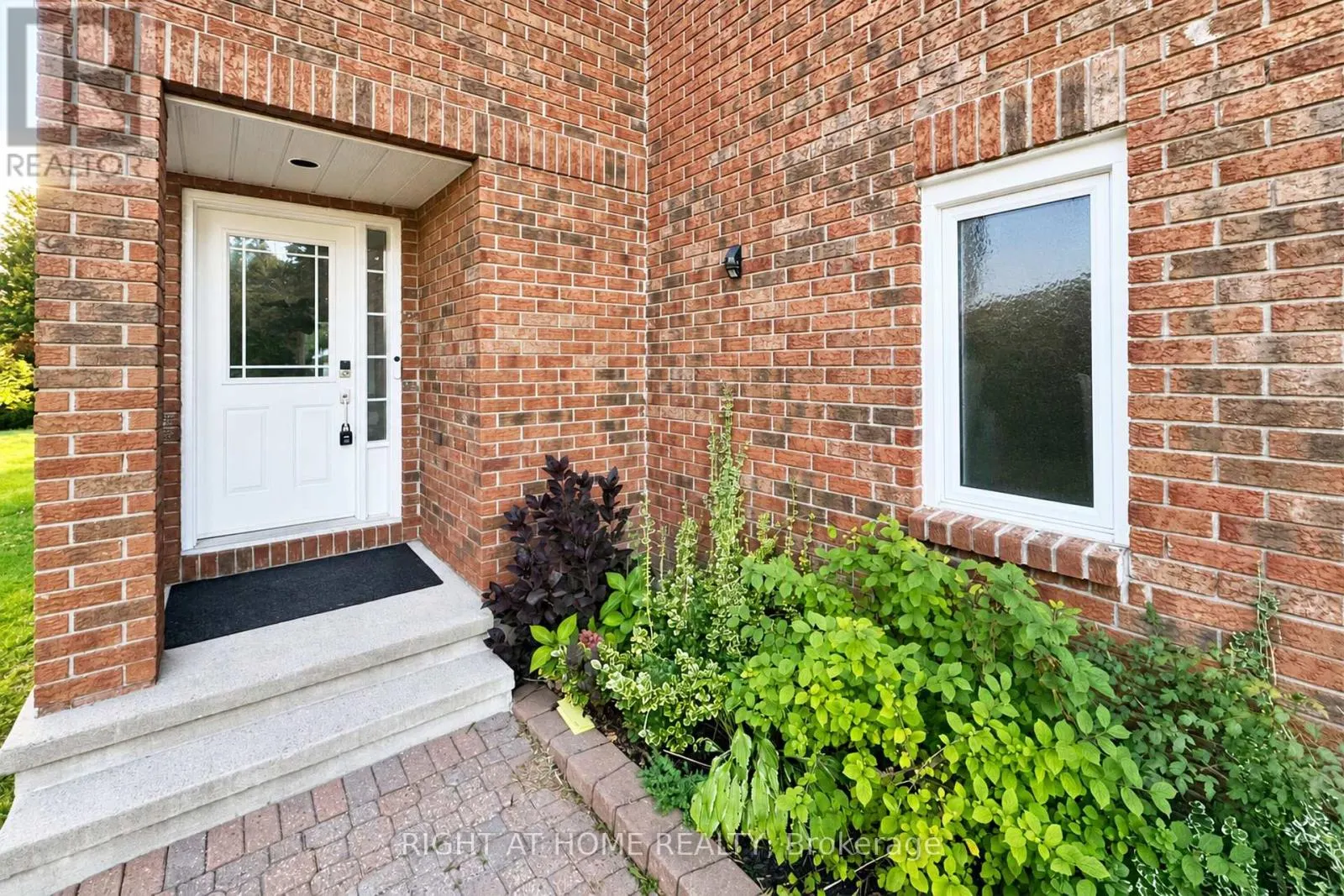 24 HARRINGTON COURT