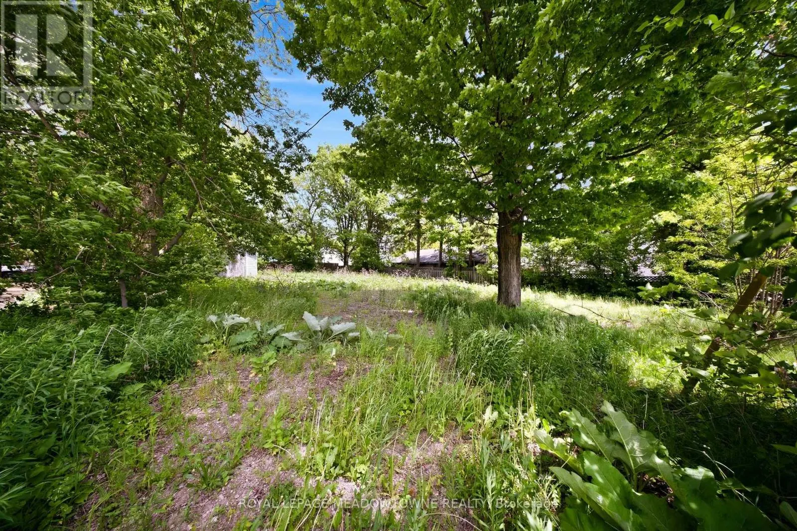 4905 ERAMOSA-ERIN TOWNLINE