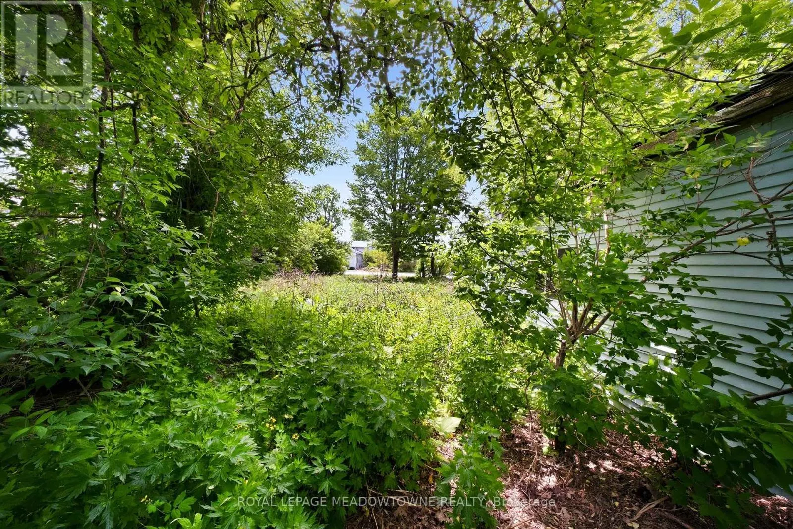 4905 ERAMOSA-ERIN TOWNLINE