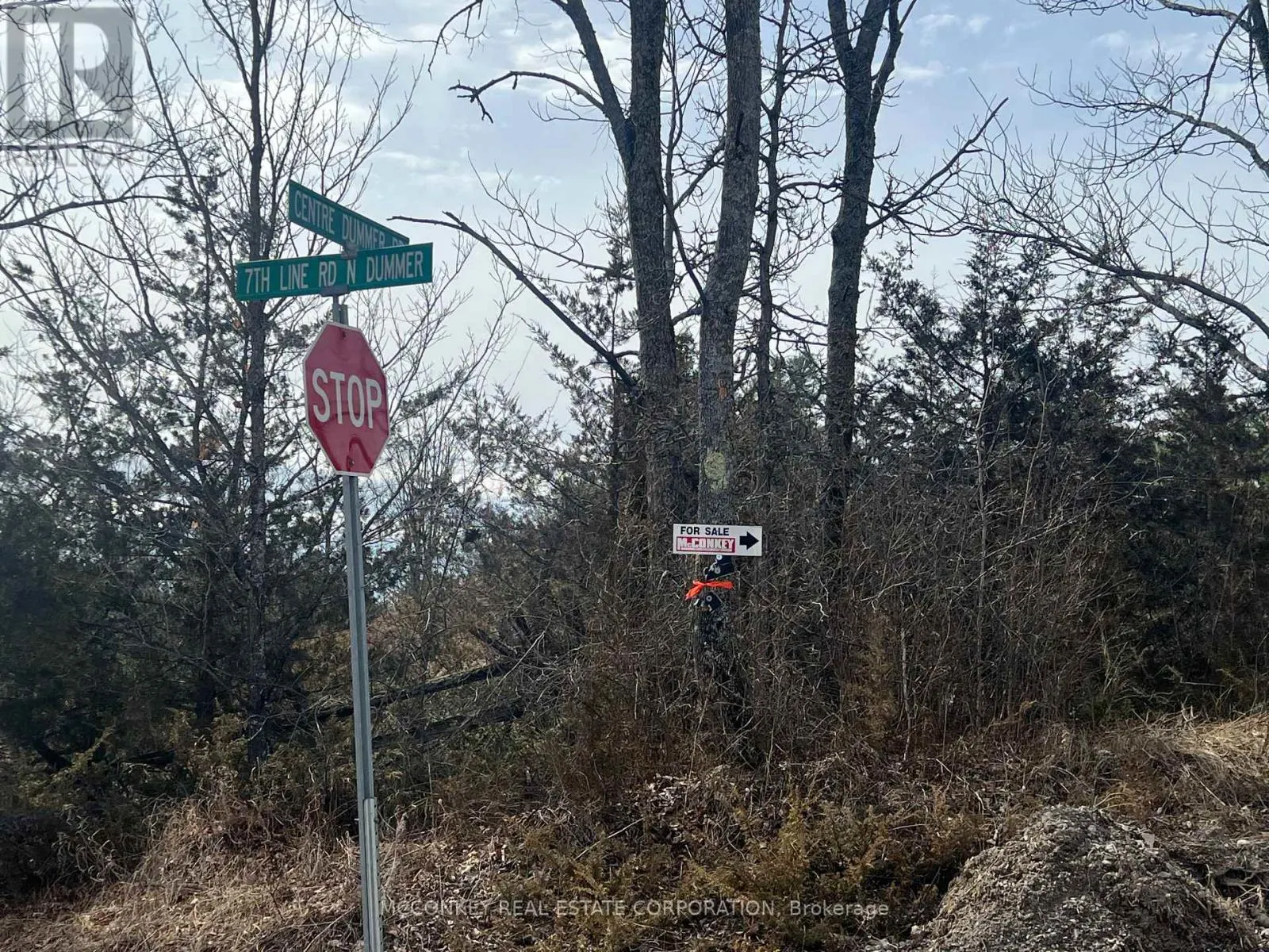 00 N. DUMMER 7TH LINE ROAD