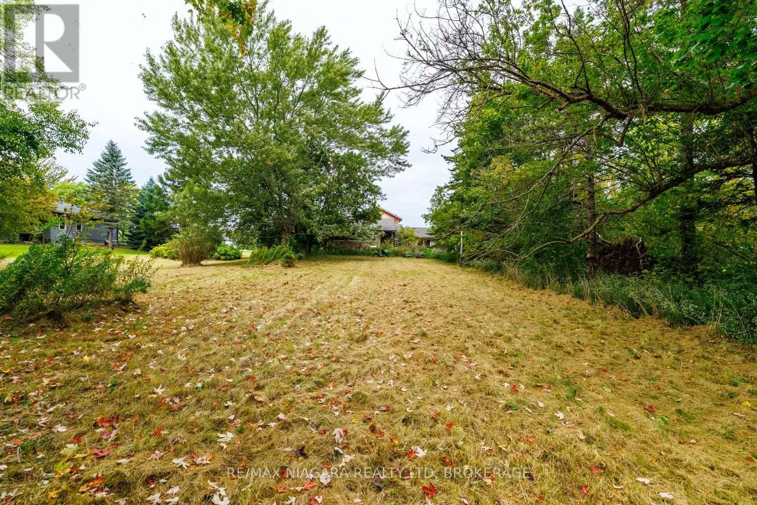 567 LYONS CREEK ROAD
