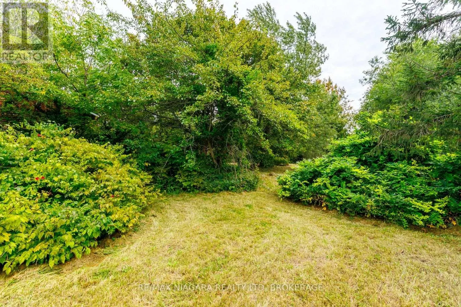 567 LYONS CREEK ROAD