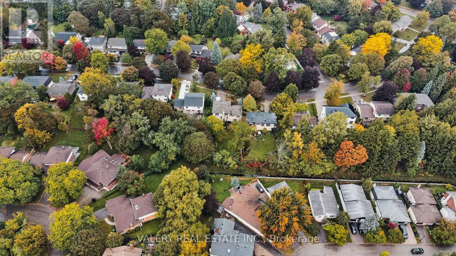 325 COLERIDGE DRIVE