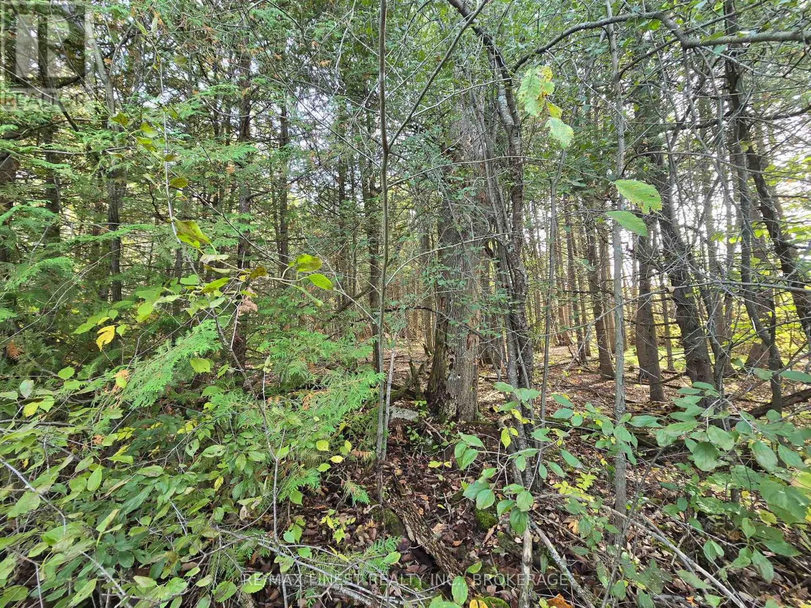 PT LT 23 & 24 HUNT ROAD