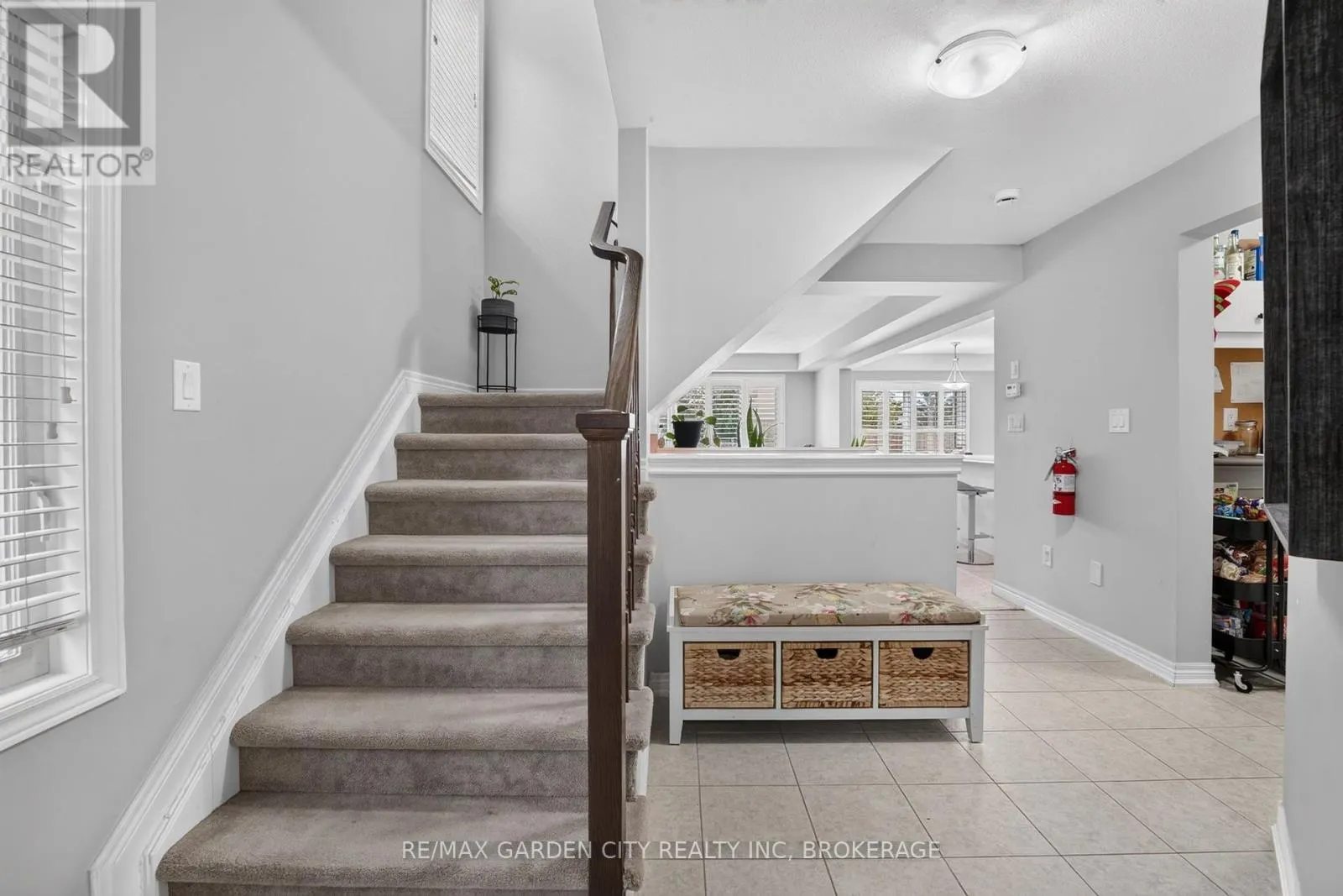 53 ELDERBERRY ROAD
