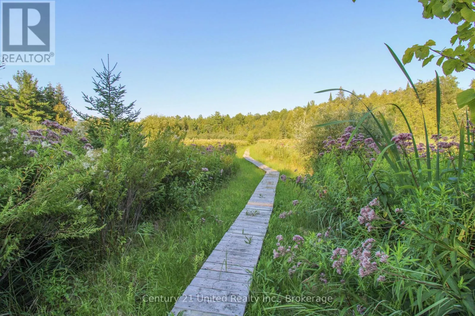 395 SAWMILL ROAD