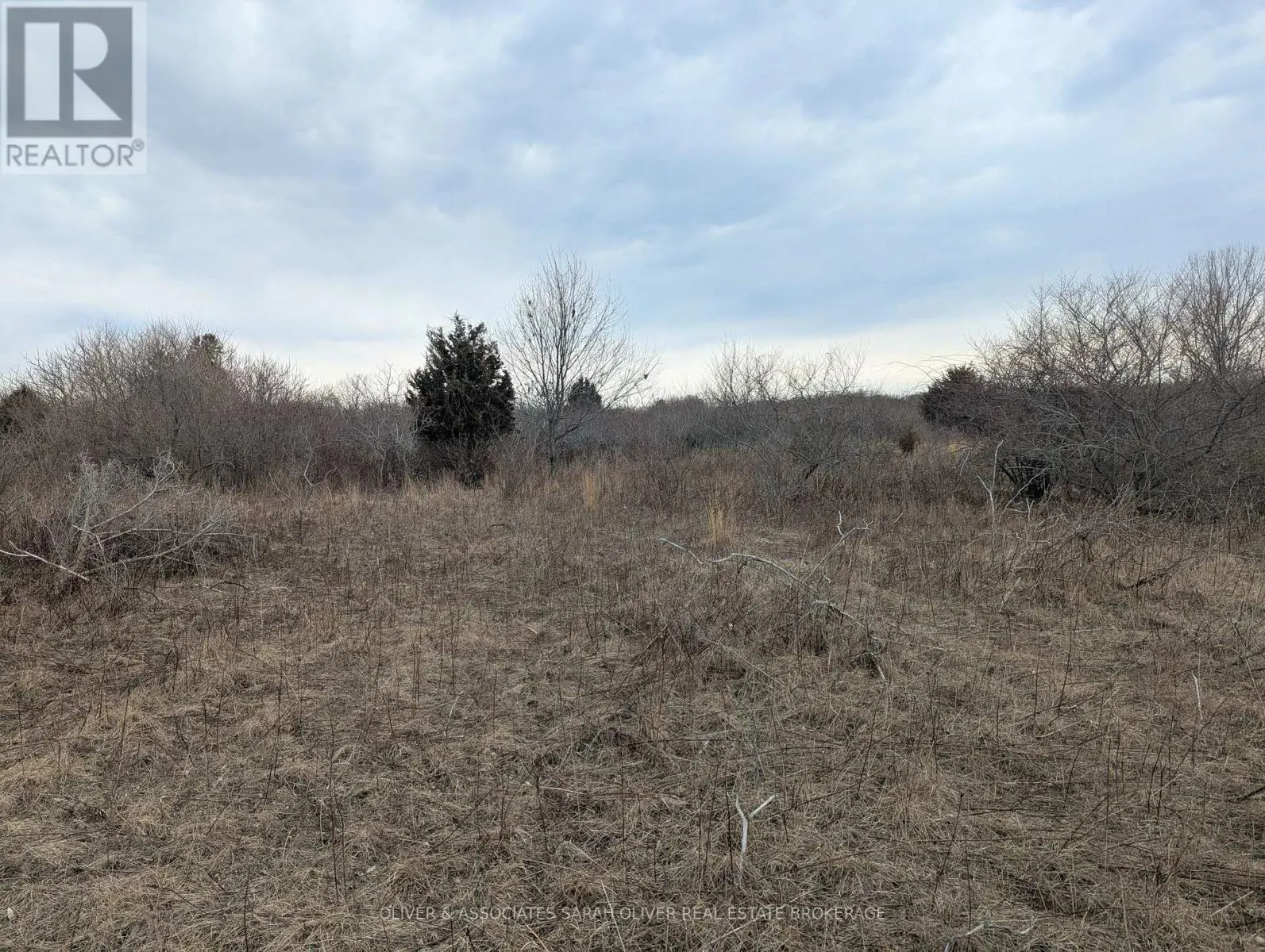 BETWEEN 25097 & 24745 GRAY LINE