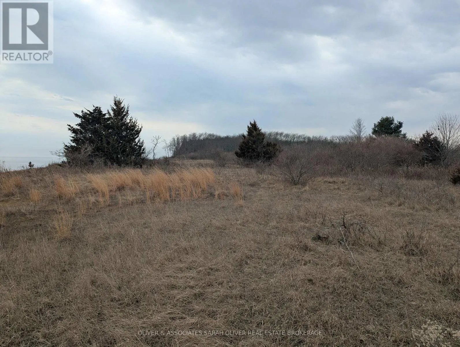 BETWEEN 25097 & 24745 GRAY LINE