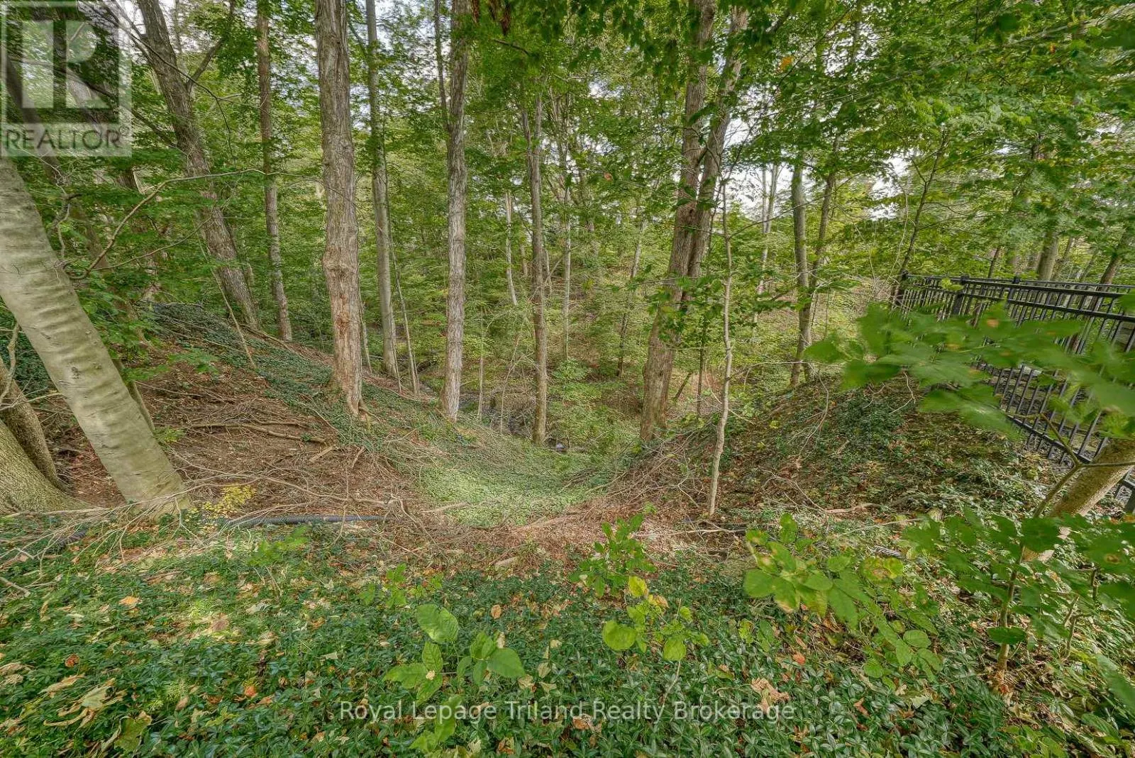 28 SEGAL DRIVE