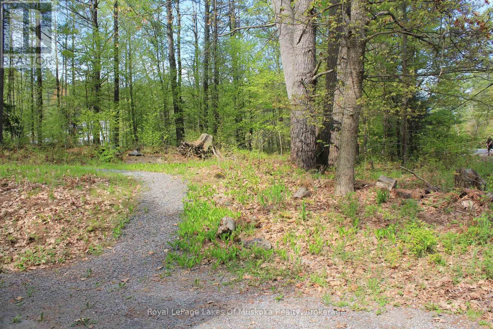 886 MUSKOKA 10 ROAD