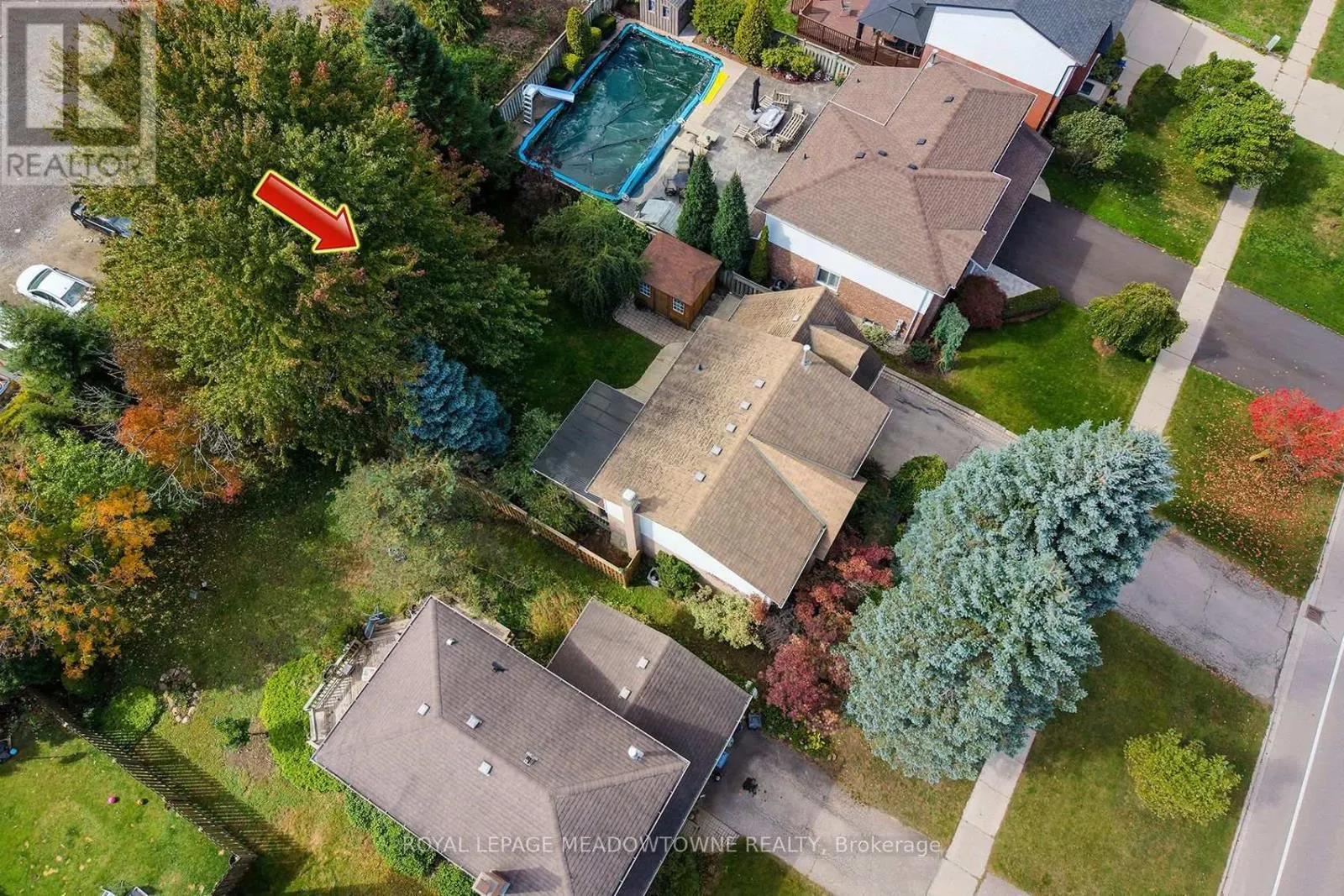 209 ELMIRA ROAD S