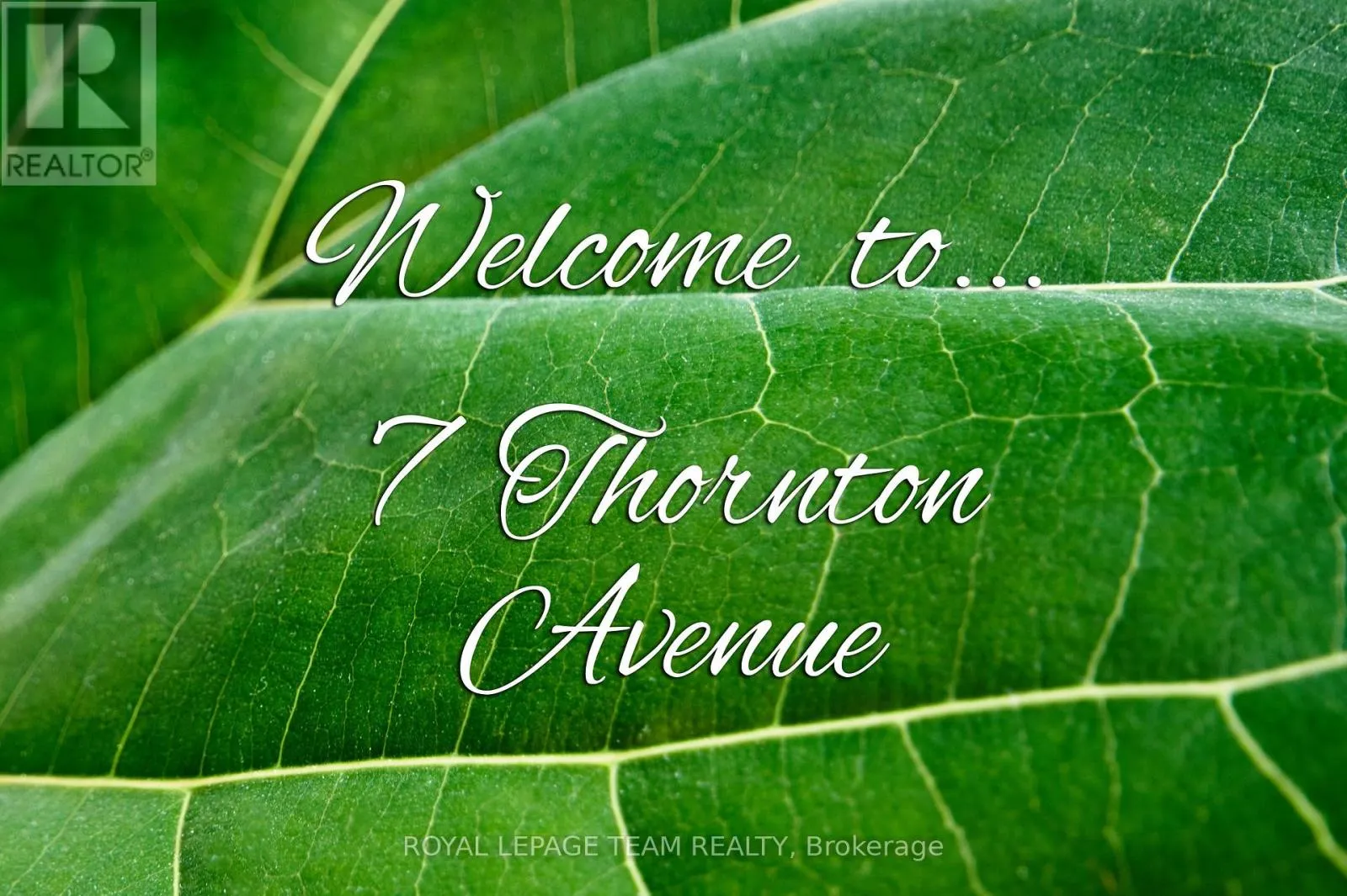 7 THORNTON AVENUE