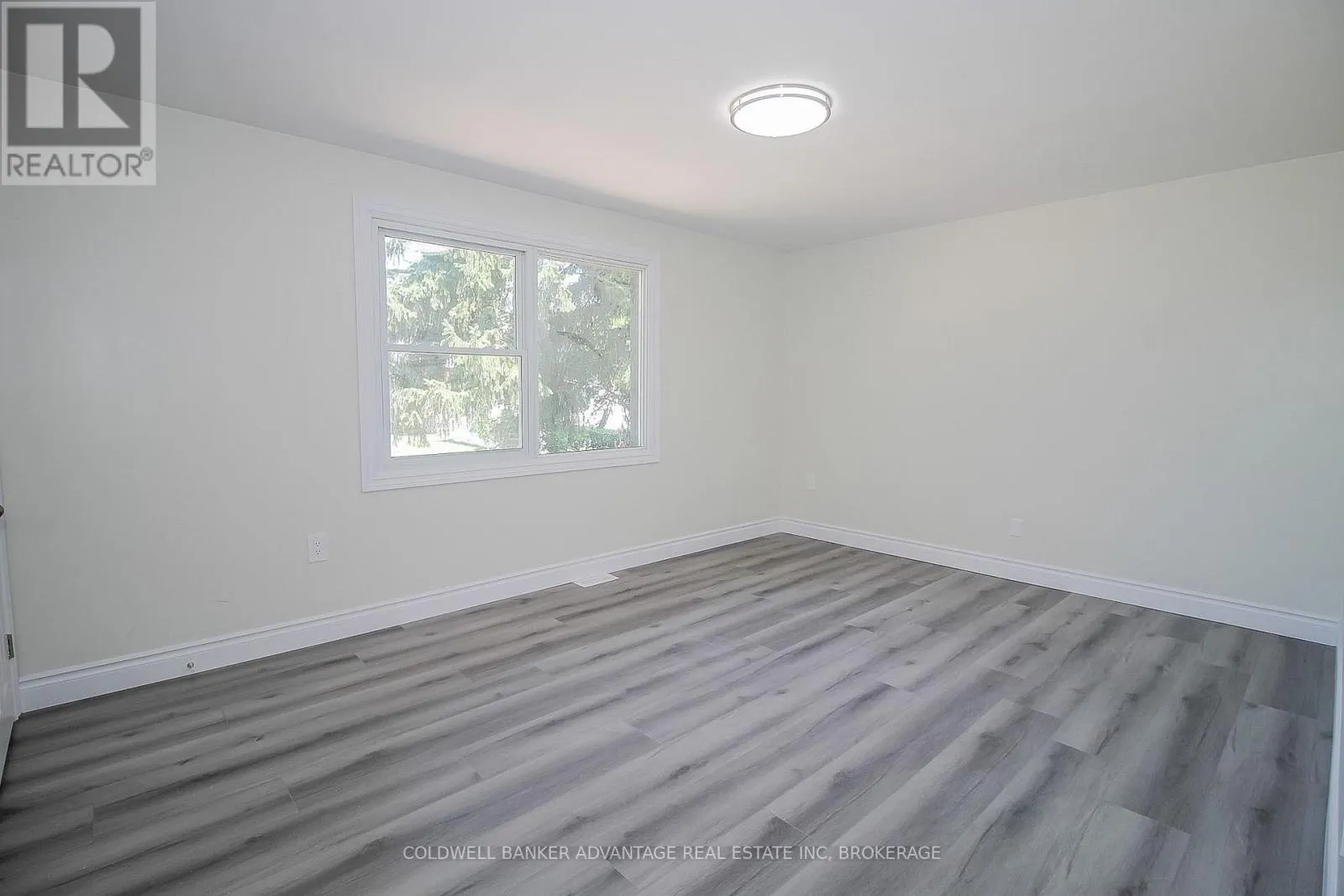 378 THOROLD ROAD