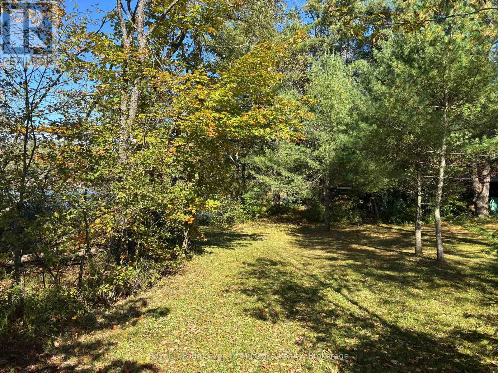 1345 HIGHWAY 118 EAST
