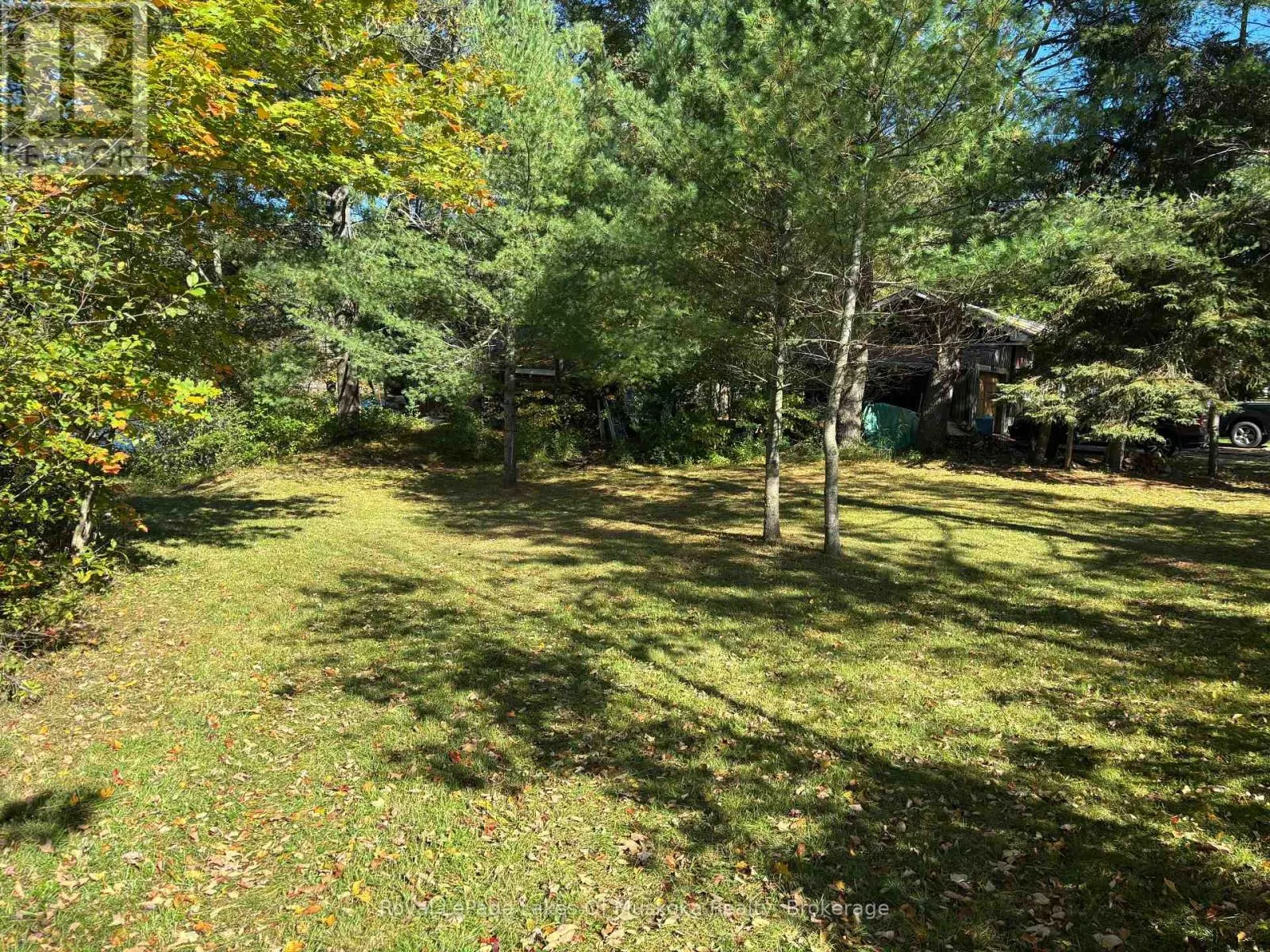 1345 HIGHWAY 118 EAST