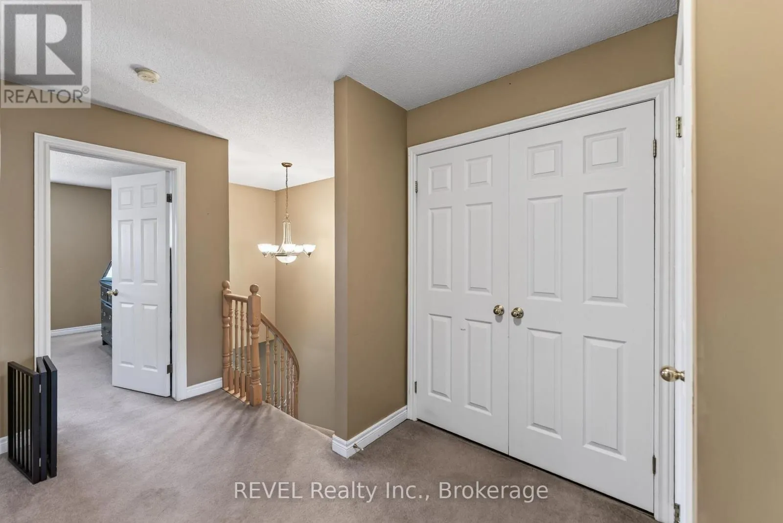 11 ELDERBERRY AVENUE