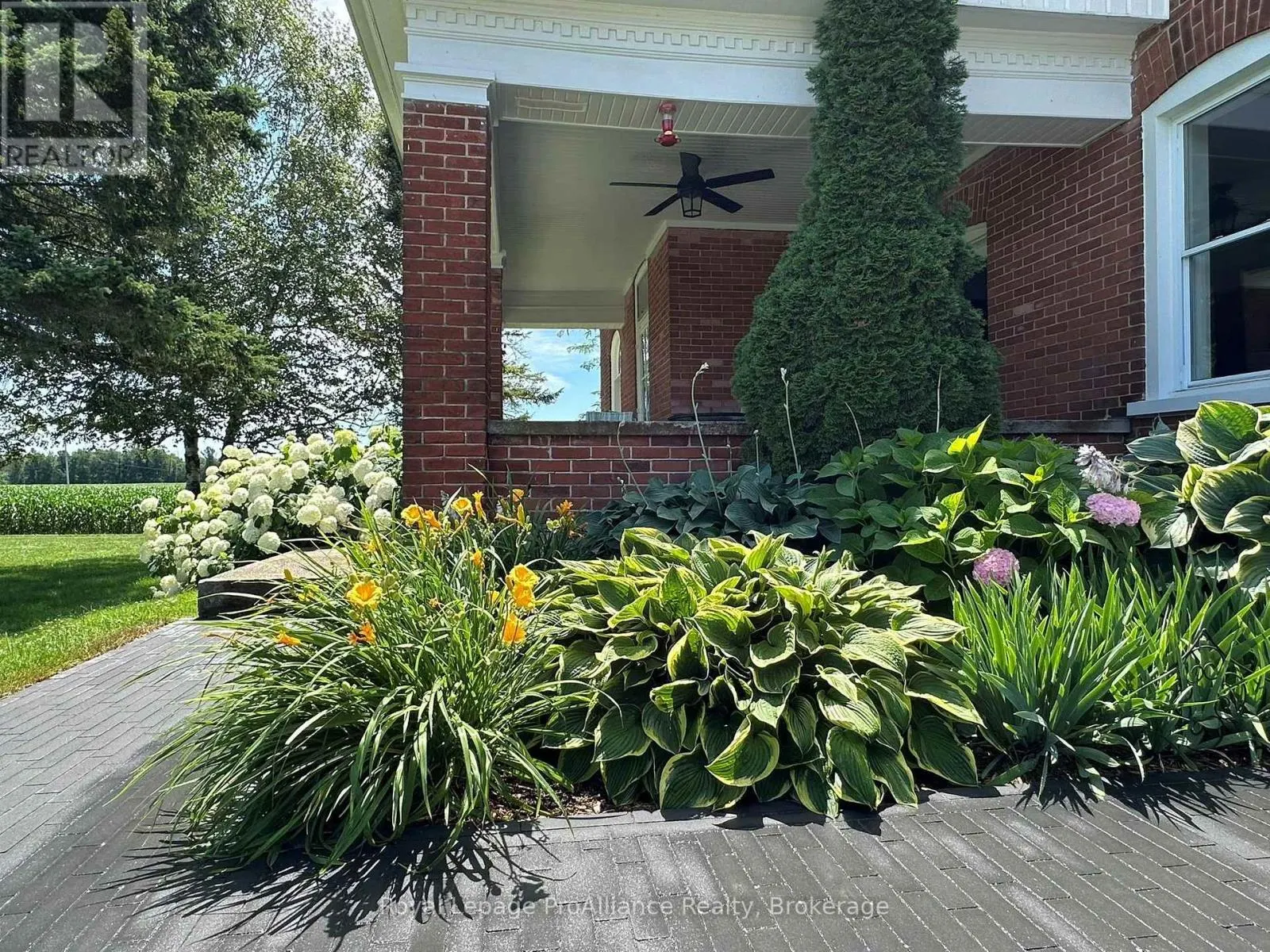 533 ALLORE ROAD