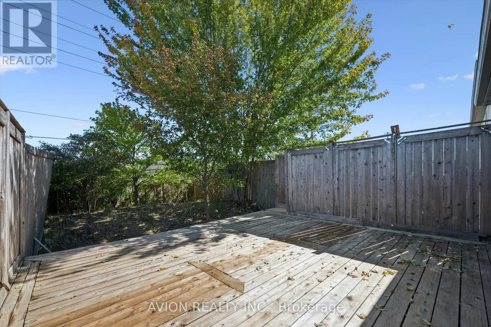 206 BUTTERCUP COURT
