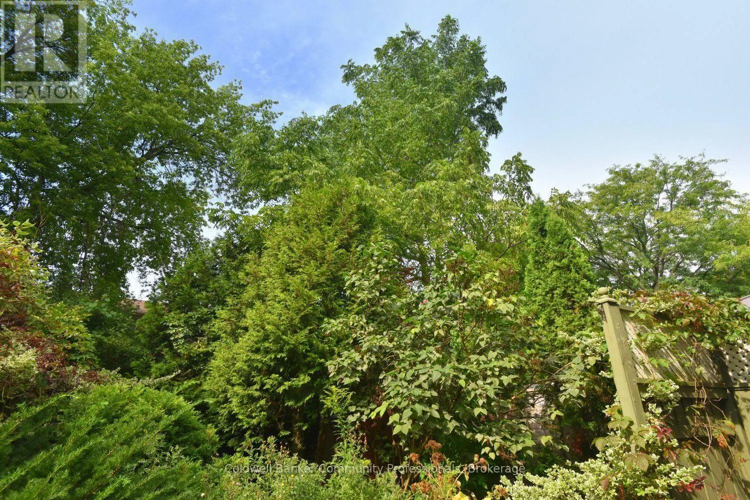 81 AYLMER CRESCENT