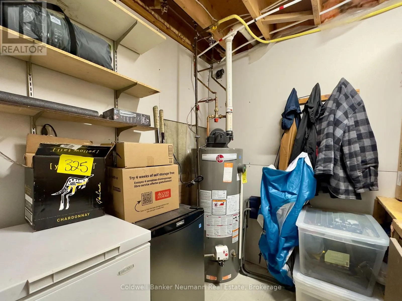 LOWER - 52 RENFIELD STREET #LOWER