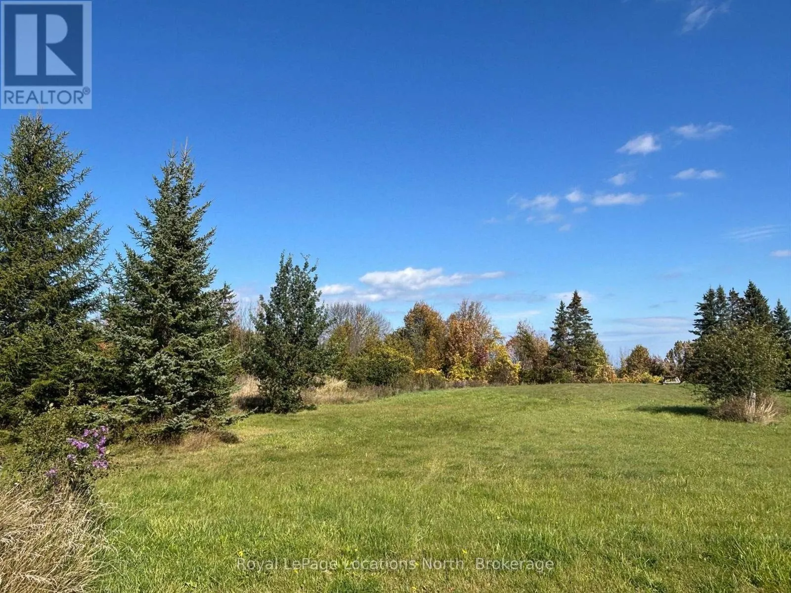135 SCOTIA DRIVE