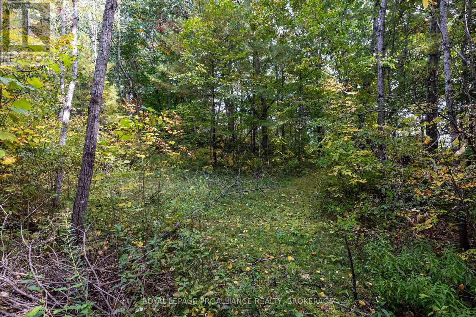 106 OLD RIVER ROAD