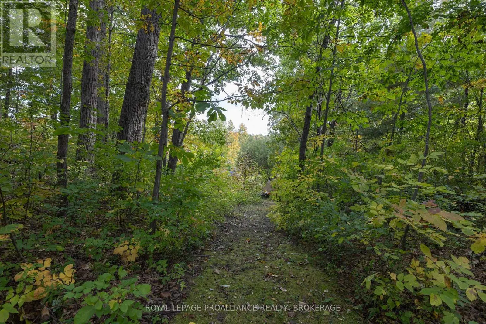 106 OLD RIVER ROAD