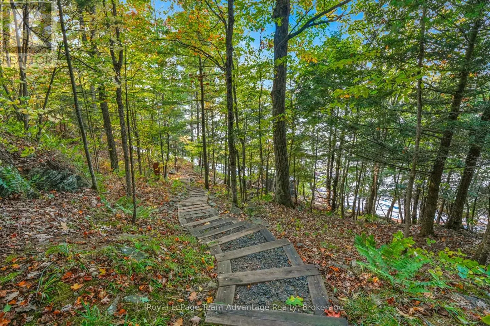 6 & 8 MILL HEIGHTS ROAD
