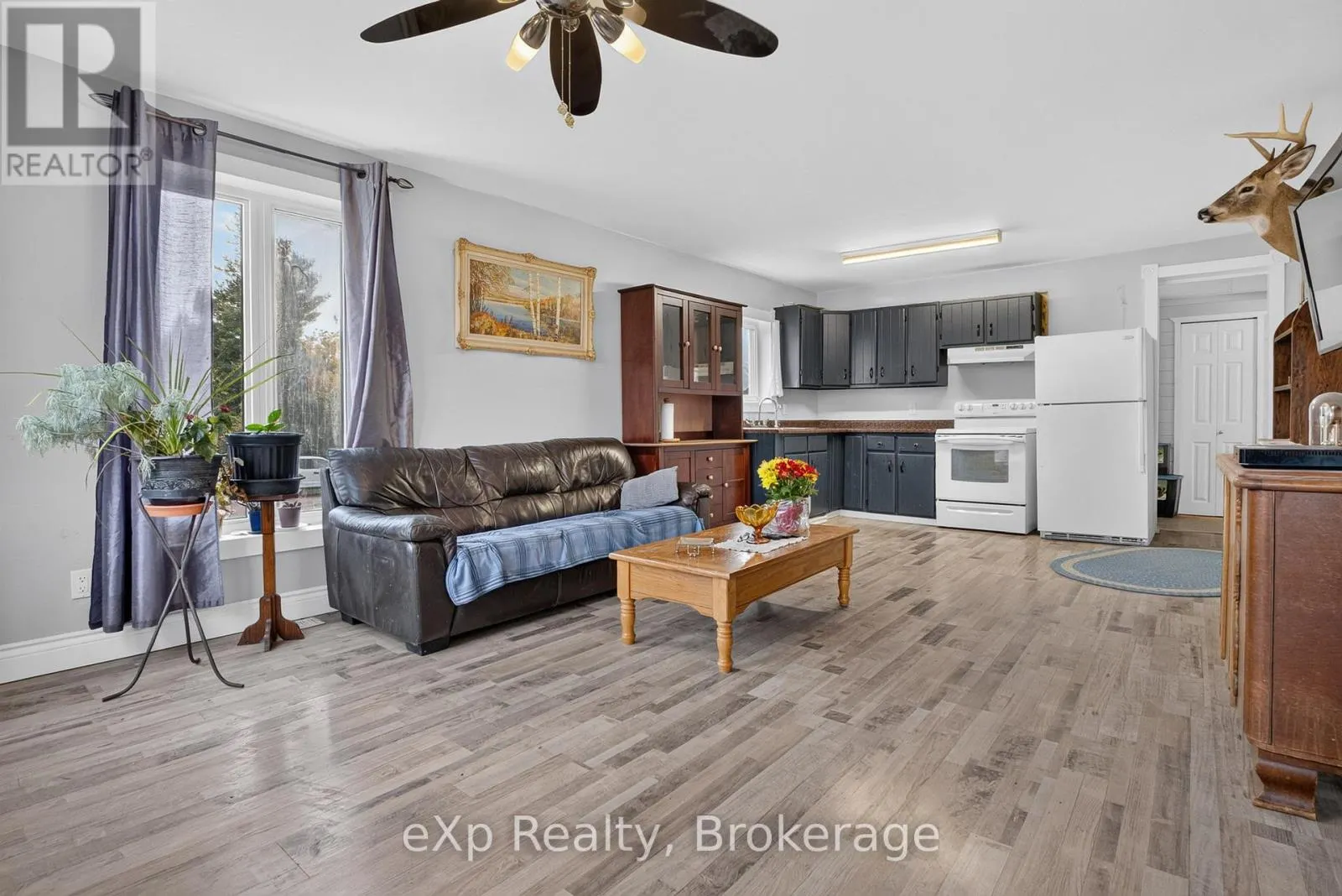 29 DOLLARD STREET