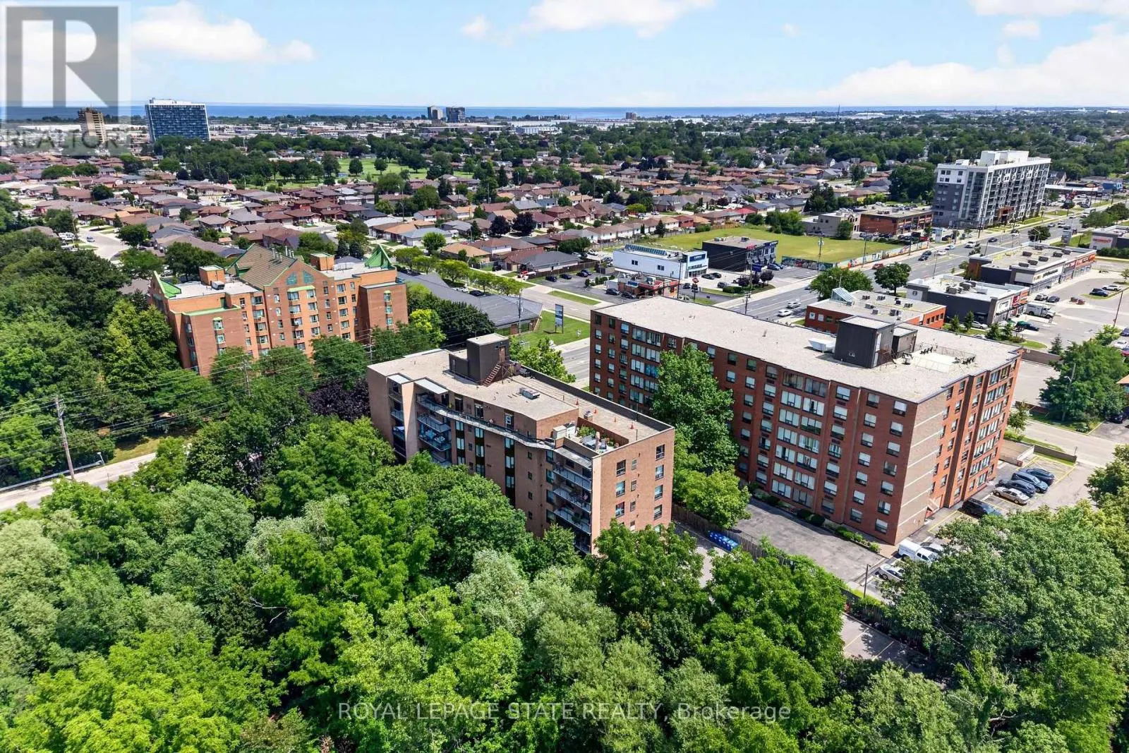 203 - 966 QUEENSTON ROAD